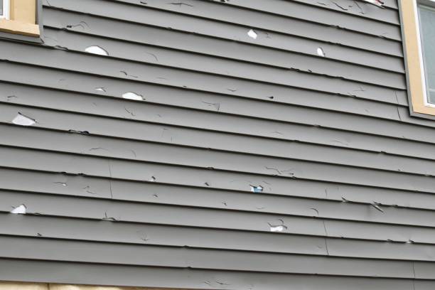 Best Vinyl Siding Installation  in Gibraltar, MI