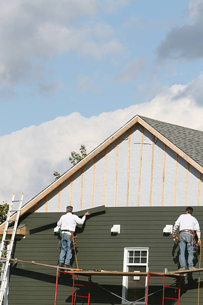 Best Custom Trim and Detailing for Siding  in Gibraltar, MI